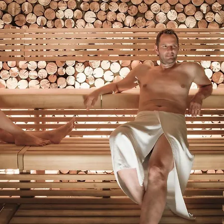 Haidvogl Mavida Zell Am ホテル ツェル アム ゼー