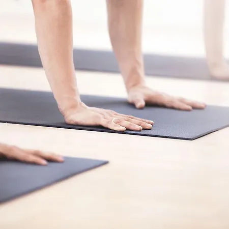 Haidvogl Mavida Zell Am מלון 4*