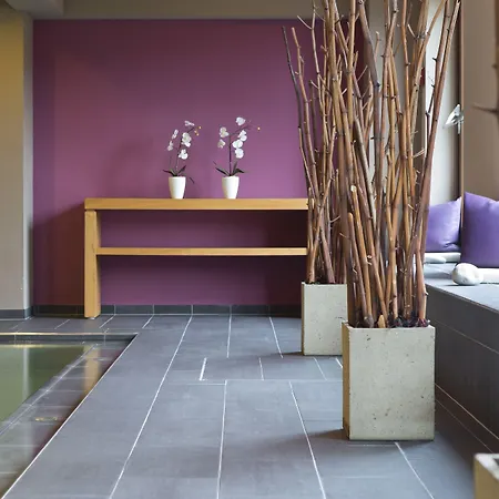 ホテル Haidvogl Mavida Zell Am ツェル アム ゼー