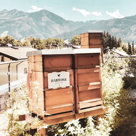 Hotel Haidvogl Mavida Zell Am