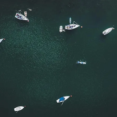 Haidvogl Mavida Zell Am