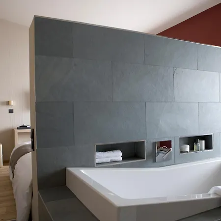 Haidvogl Mavida Zell Am Hotel Zell am See