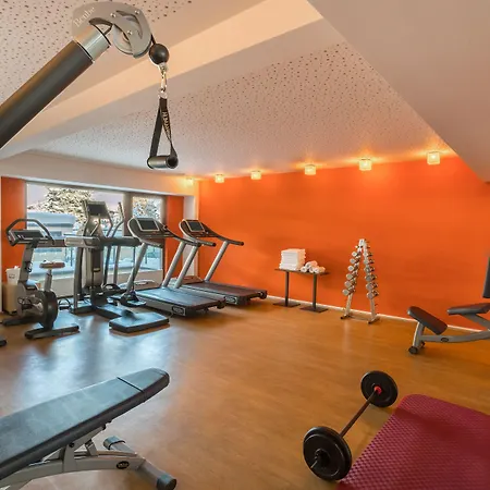 Haidvogl Mavida Zell Am 4*