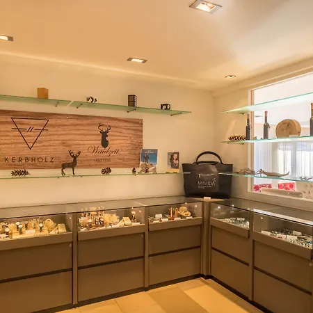 Haidvogl Mavida Zell Am Hotel